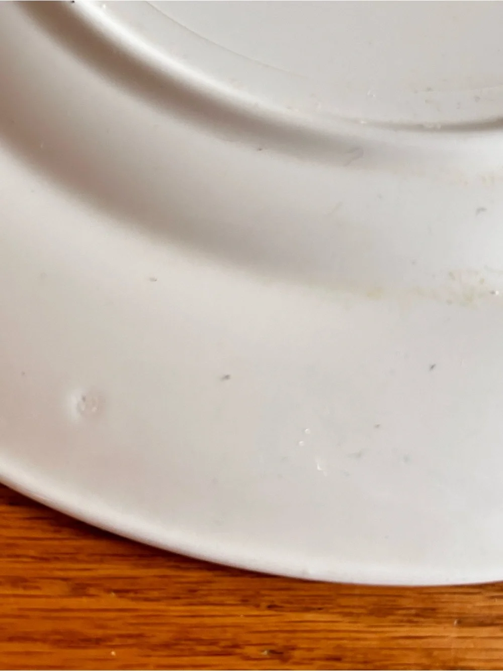 Vintage Royal China 11” Dinner Plate 22k Gold Detailing